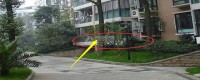 一樓的房子弊端太多？內(nèi)行人透露：有錢人都喜歡買一樓
