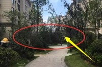 一樓到底哪里差？住進(jìn)去后來聊聊感受